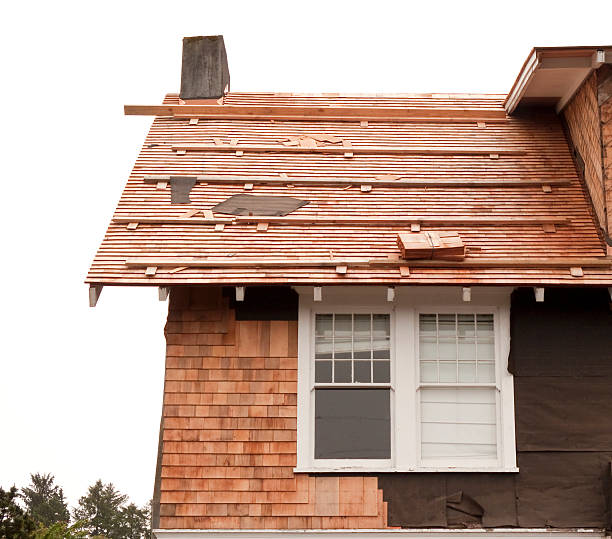 Best Siding Removal and Disposal  in Parkwood, WA